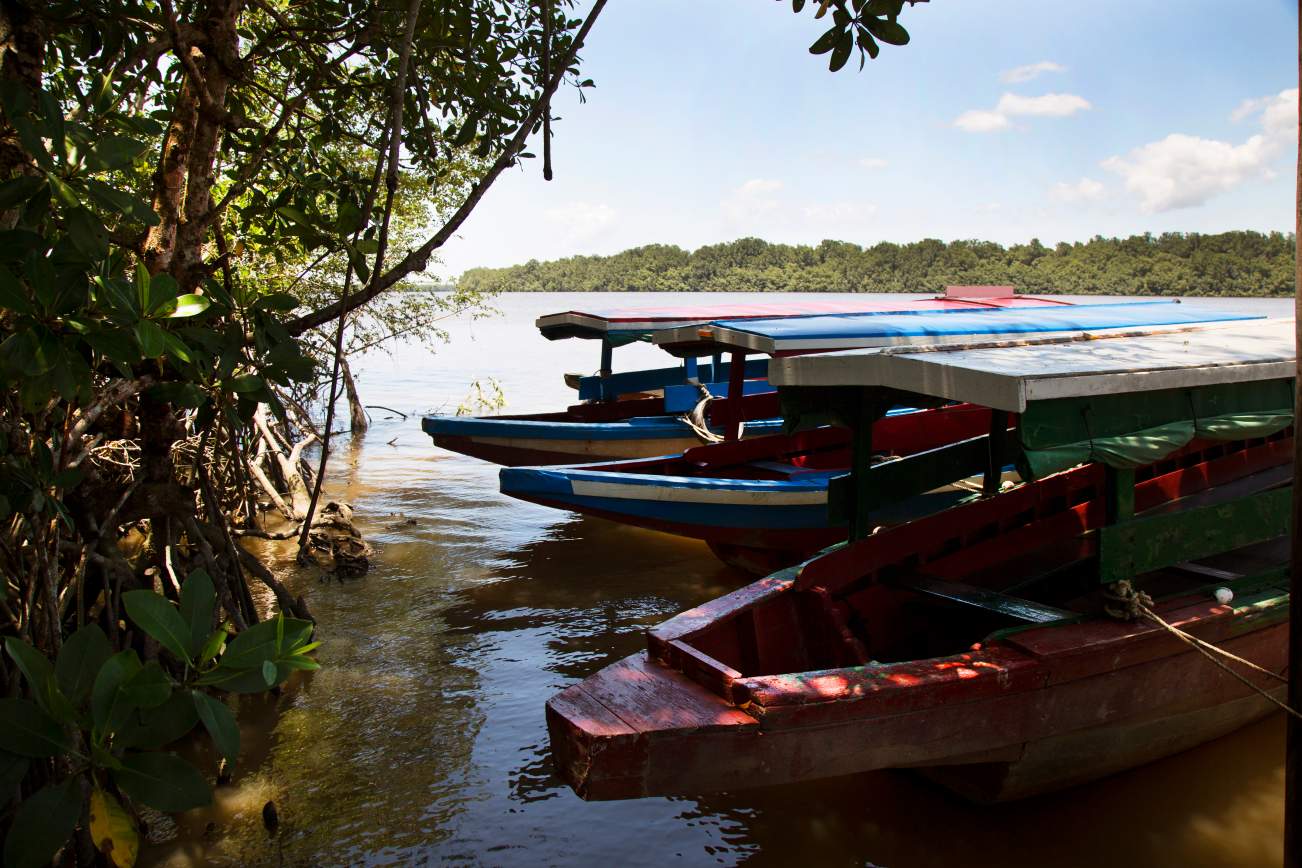 16 dagen Ontdek Suriname Fly en Drive Suriname  8