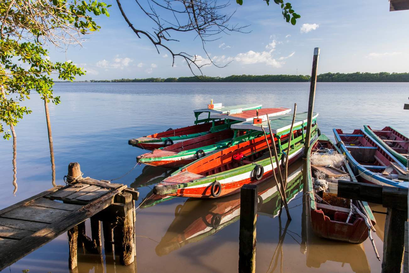 Fly en Drive in Switi Suriname Rondreis 11