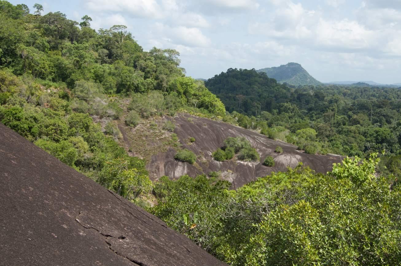 Suriname Oost Zuid West Rondreis  7