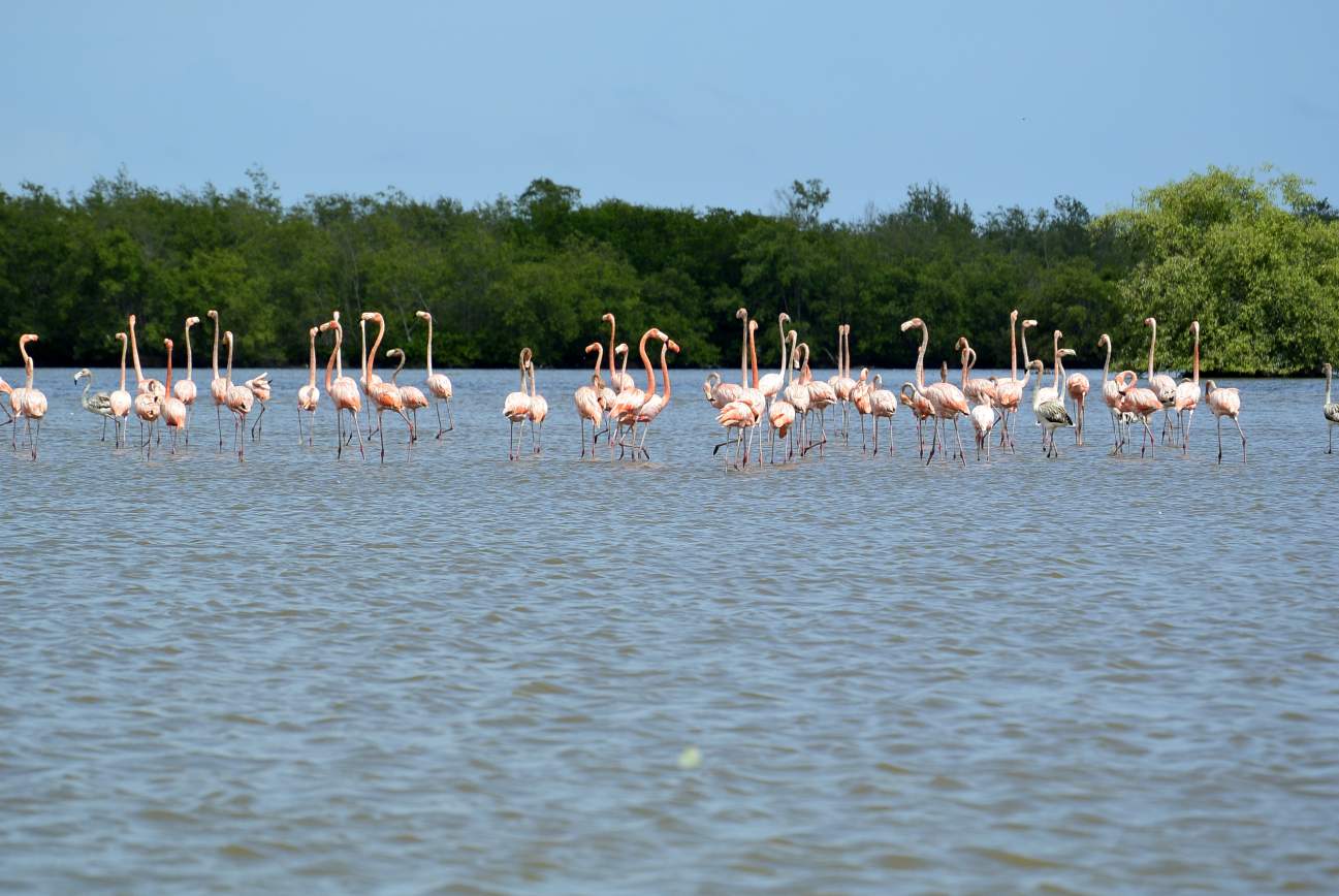 Suriname Oost Zuid West Rondreis  13