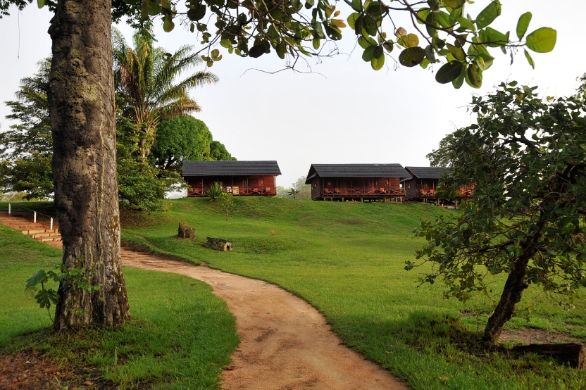 Palumeu jungle lodge 2